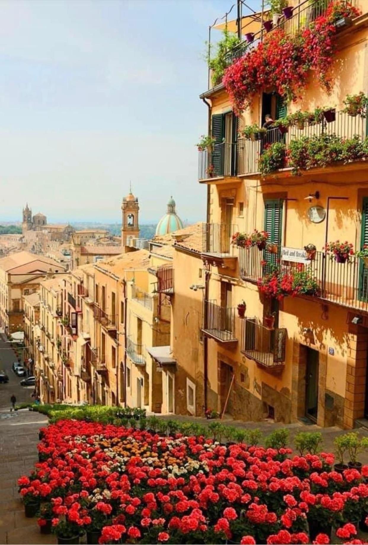 Casa Tipica Siciliana Patronale Home Bedandbreakfast Tremetrisoprailcielo Camere Con Vista, Colazione Interna In Terrazzo Panoramico 卡尔塔吉罗 外观 照片