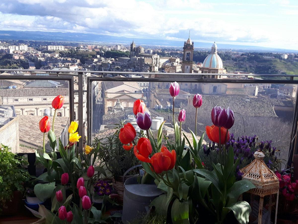 Casa Tipica Siciliana Patronale Home Bedandbreakfast Tremetrisoprailcielo Camere Con Vista, Colazione Interna In Terrazzo Panoramico 卡尔塔吉罗 外观 照片