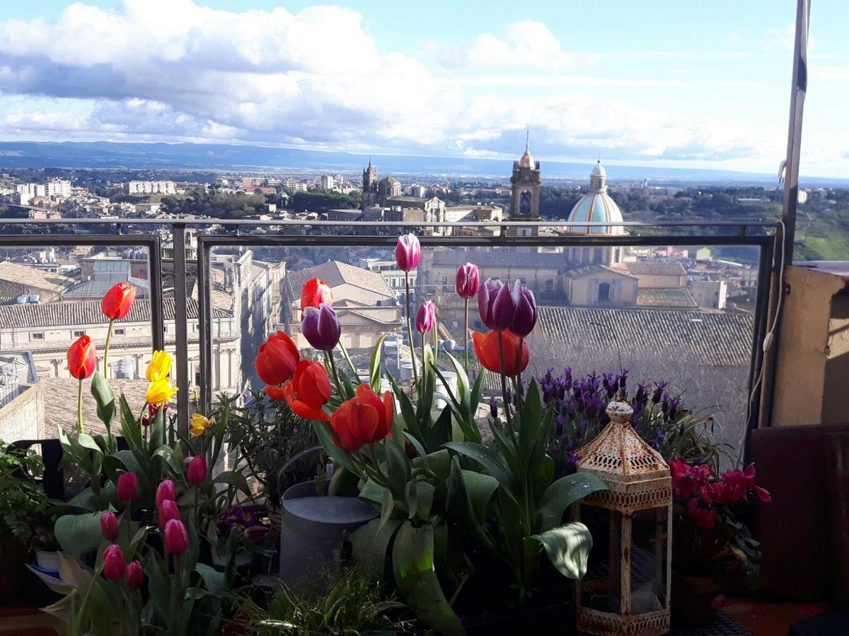 Casa Tipica Siciliana Patronale Home Bedandbreakfast Tremetrisoprailcielo Camere Con Vista, Colazione Interna In Terrazzo Panoramico 卡尔塔吉罗 外观 照片