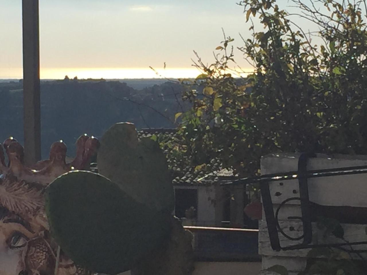 Casa Tipica Siciliana Patronale Home Bedandbreakfast Tremetrisoprailcielo Camere Con Vista, Colazione Interna In Terrazzo Panoramico 卡尔塔吉罗 外观 照片
