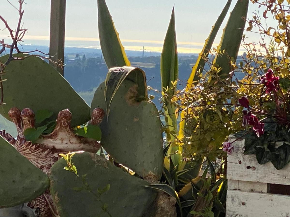 Casa Tipica Siciliana Patronale Home Bedandbreakfast Tremetrisoprailcielo Camere Con Vista, Colazione Interna In Terrazzo Panoramico 卡尔塔吉罗 外观 照片